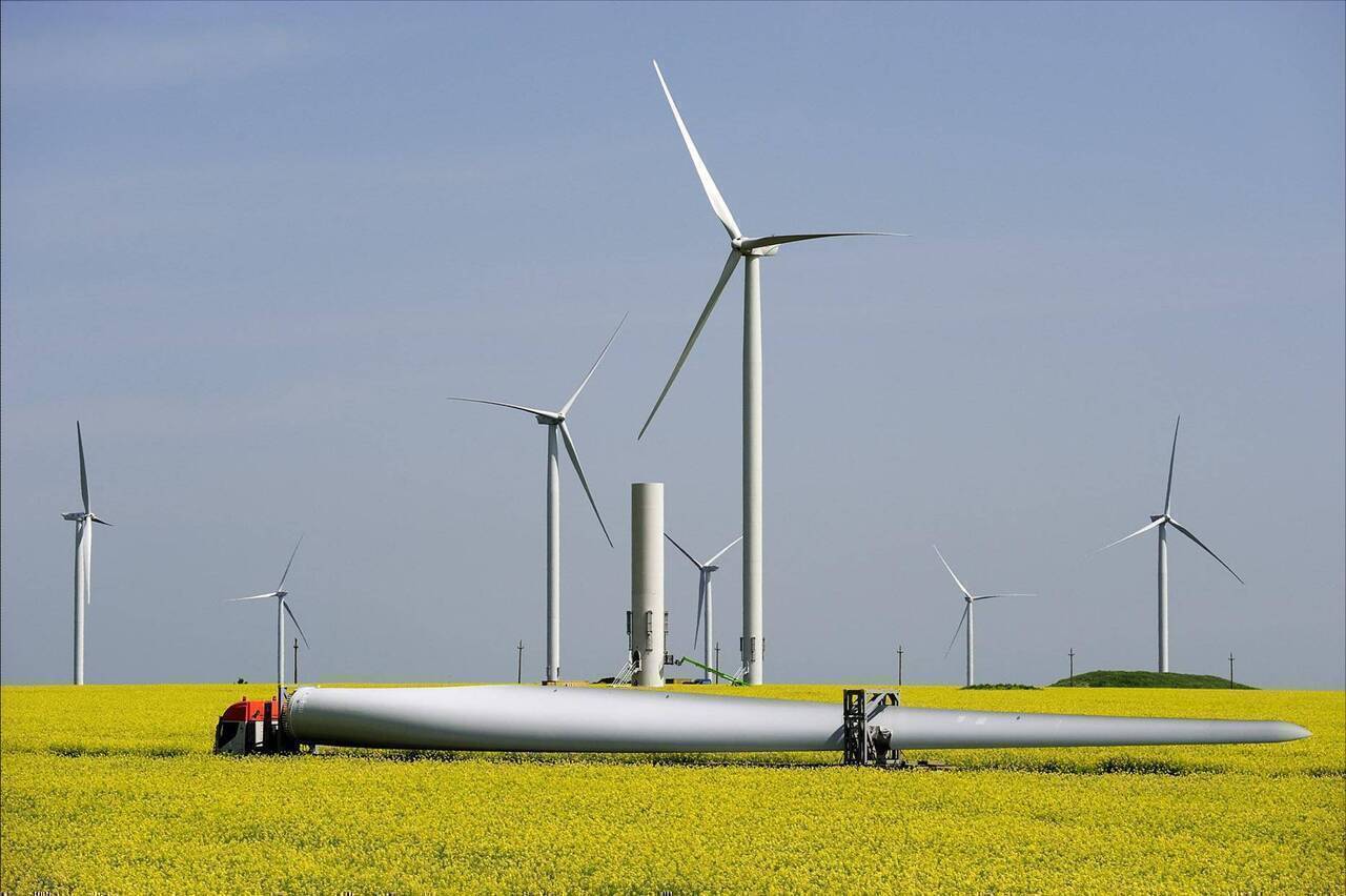 Econergy extinde portofoliul în România cu un nou proiect eolian în județul Tulcea