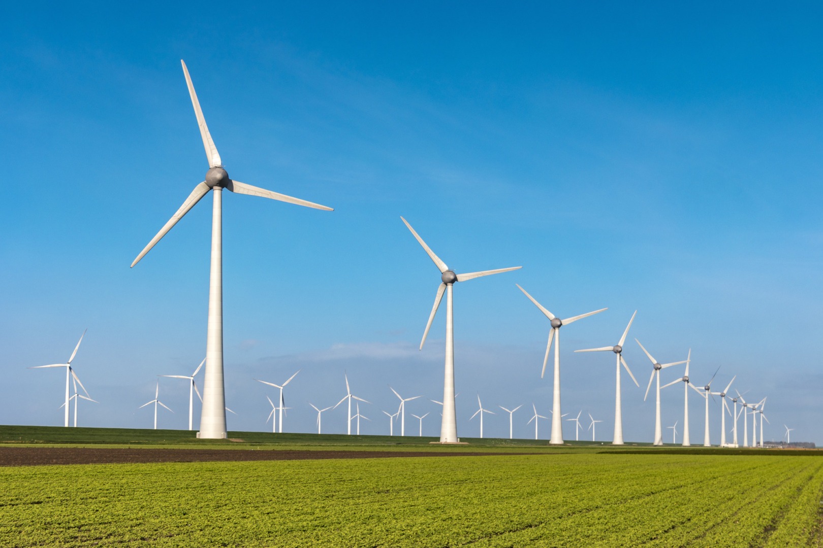 Record de producție eoliană în România: vântul a generat peste 41% din energia Sistemului Energetic Național