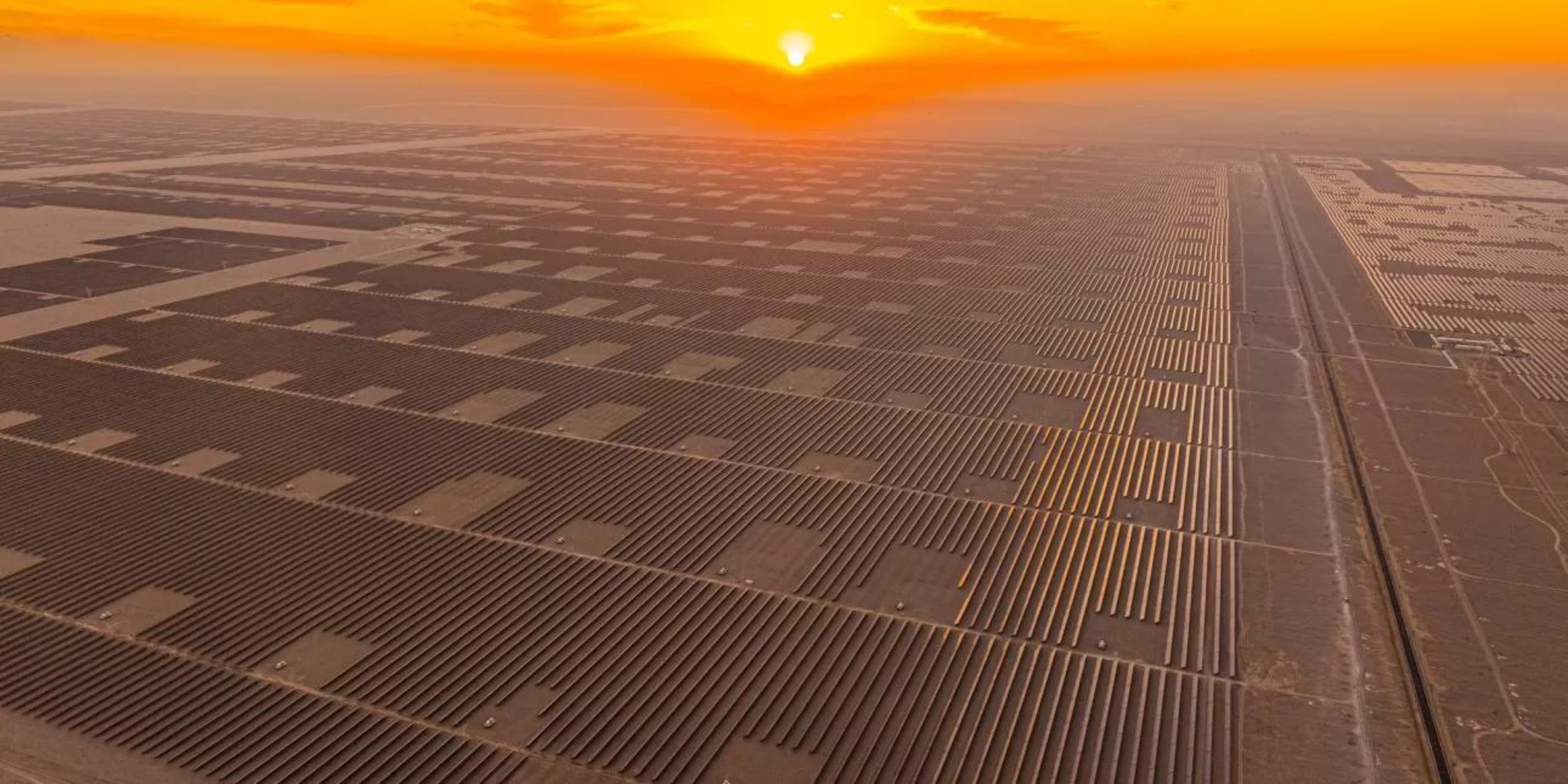Proiectul Dama Solar din Arad va deveni cel mai mare parc fotovoltaic din Uniunea Europeană