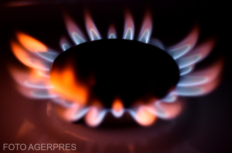 Romgaz va asigura peste 80% din necesarul de gaze pentru gospodării prin producție internă