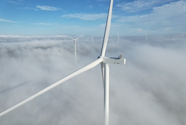 Proiectul fotovoltaic Dama Solar din Arad va fi cea mai mare investiție verde onshore din UE