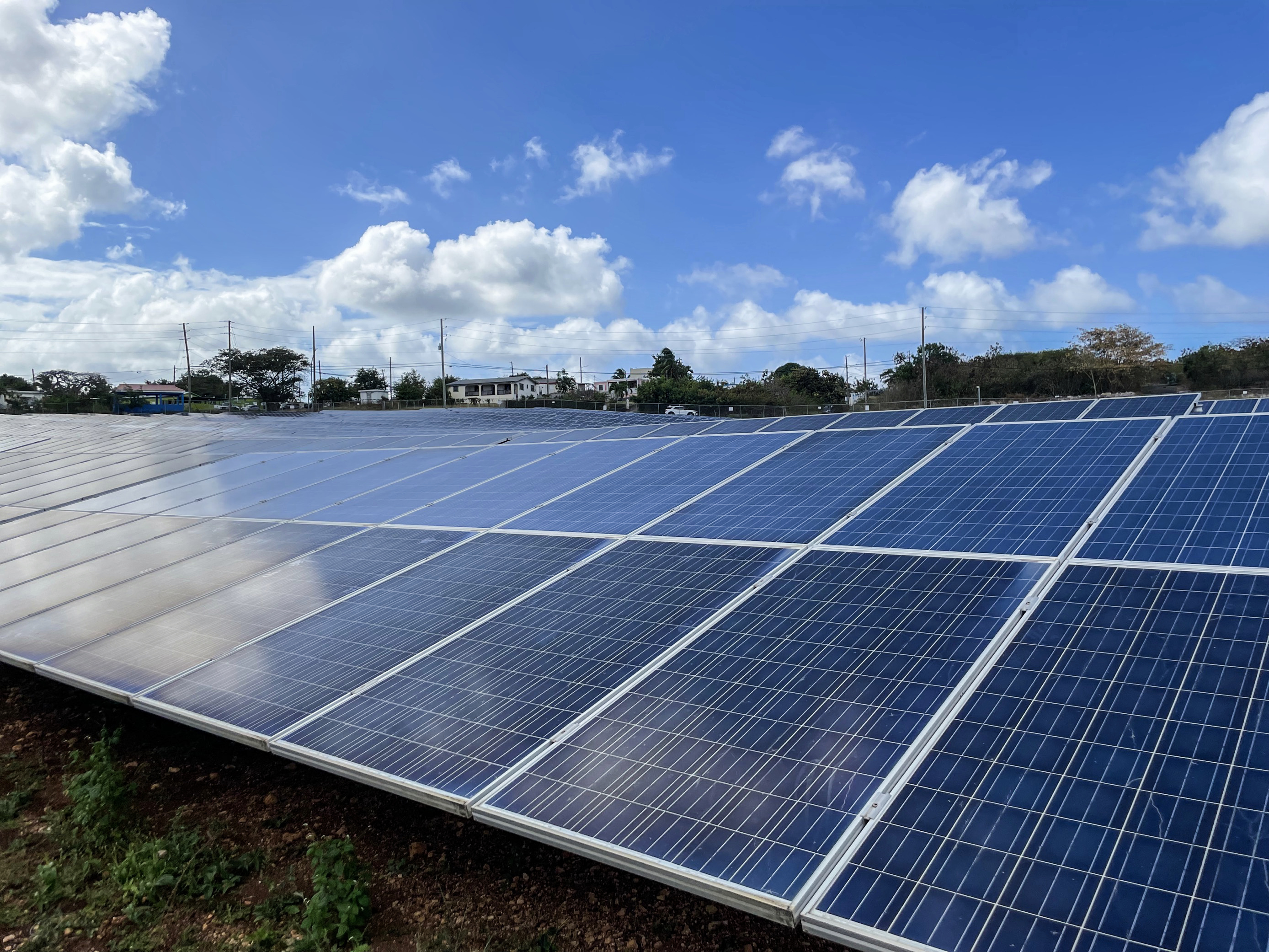 BEI finanțează cu 100 de milioane de euro proiectul solar Dama Solar din Arad