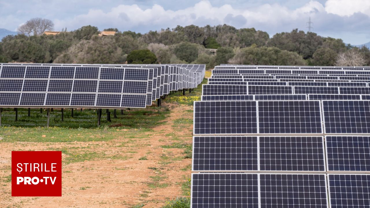 Proiectul Dama Solar din Arad poate deveni cel mai mare parc fotovoltaic din Uniunea Europeană