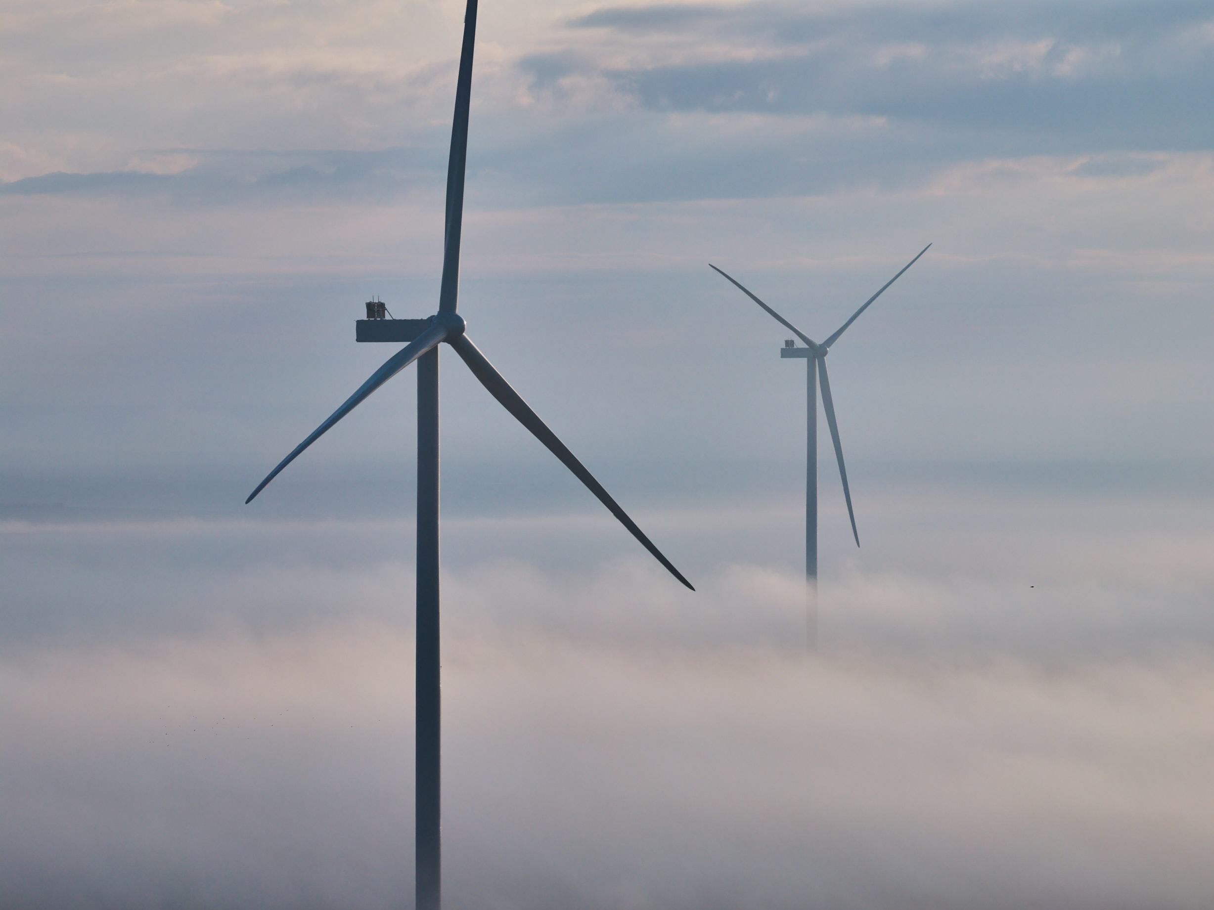 Compania suedeză OX2 dezvoltă proiecte de energie regenerabilă de 1,5 GW în România