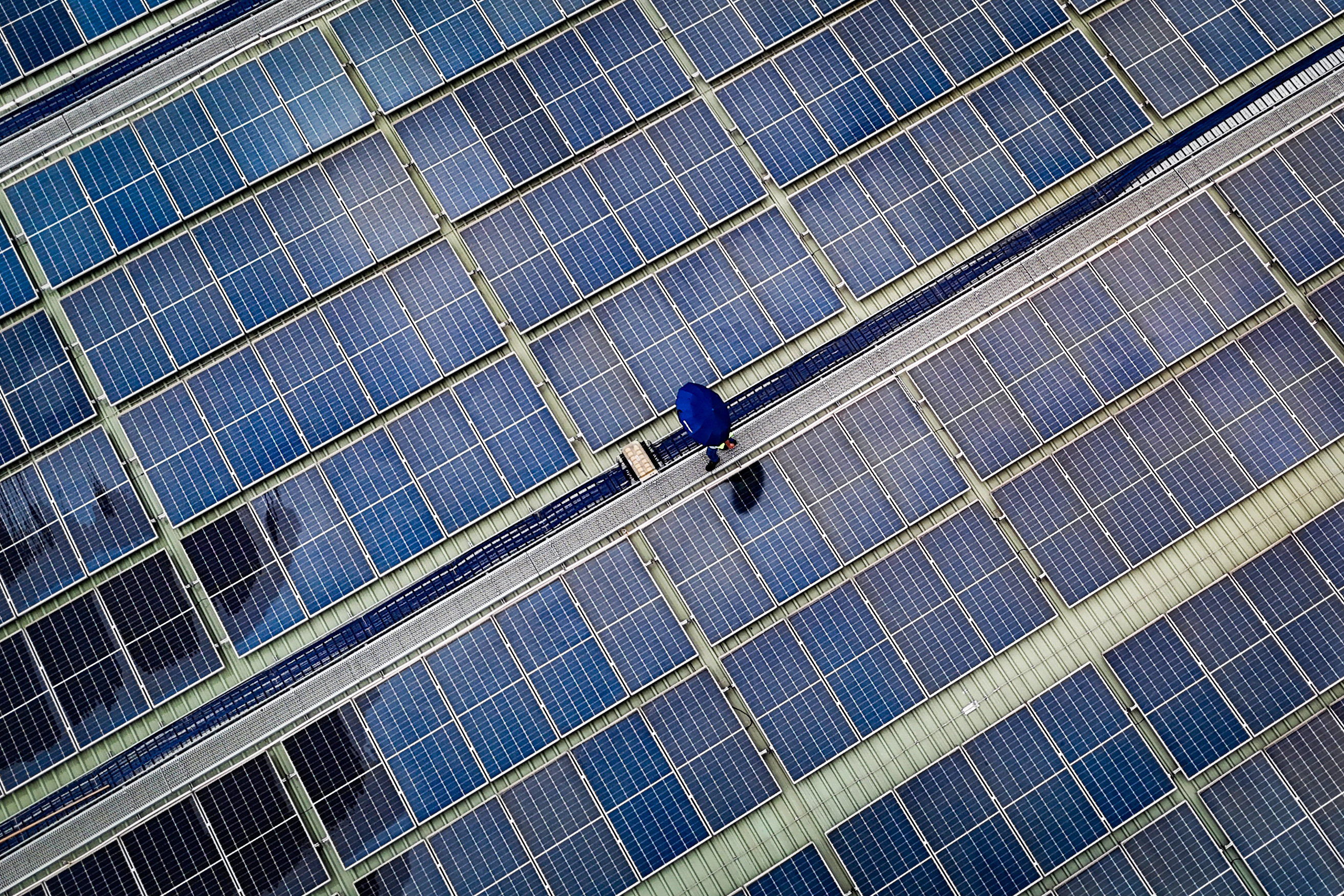 Ford Otosan România investește peste 36 de milioane de lei într-un parc fotovoltaic la uzina din Craiova